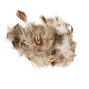 VENIARD HERN DUCK MALLARD BREAST 2GR