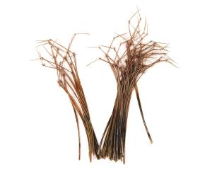 VENIARD DADDY LEGS - NATURAL