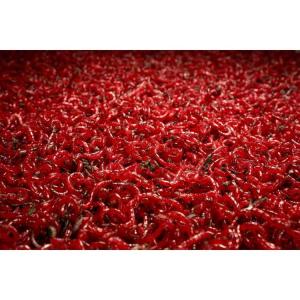 LEVANDE BLOODWORM 100GR