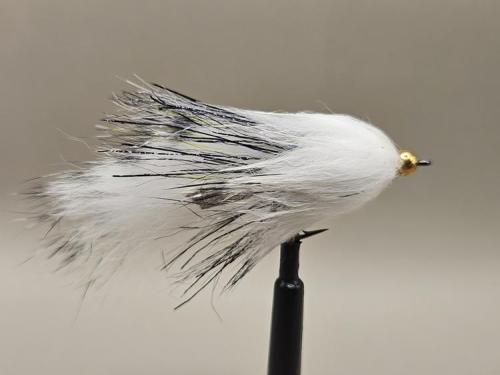 POLAR ZONKER SIZE 6