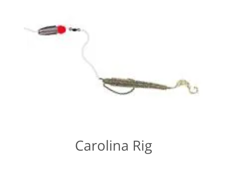 CAROLINA RIG