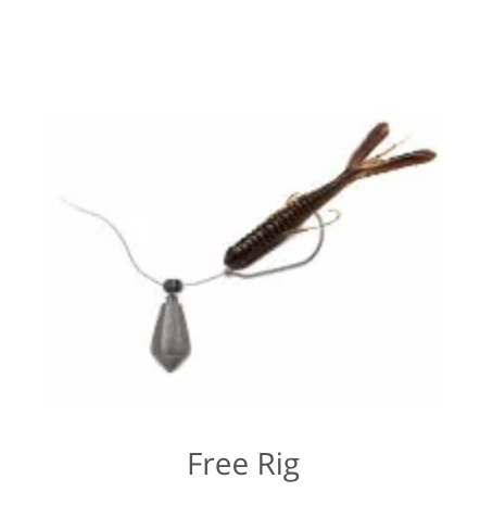 FREE RIG