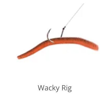 Awacky Rig WACKY RIG