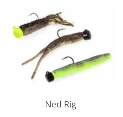 NED RIG
