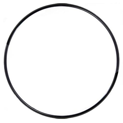 Cyr Wheele Voltige