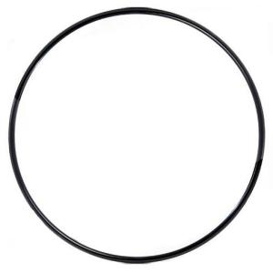 Cyr Wheele Voltige