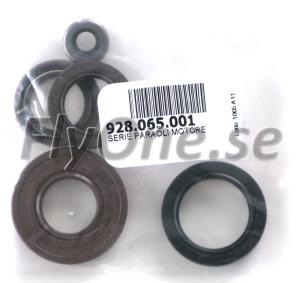 928.065.002 ENGINE OIL SEALS SET THOR 200
