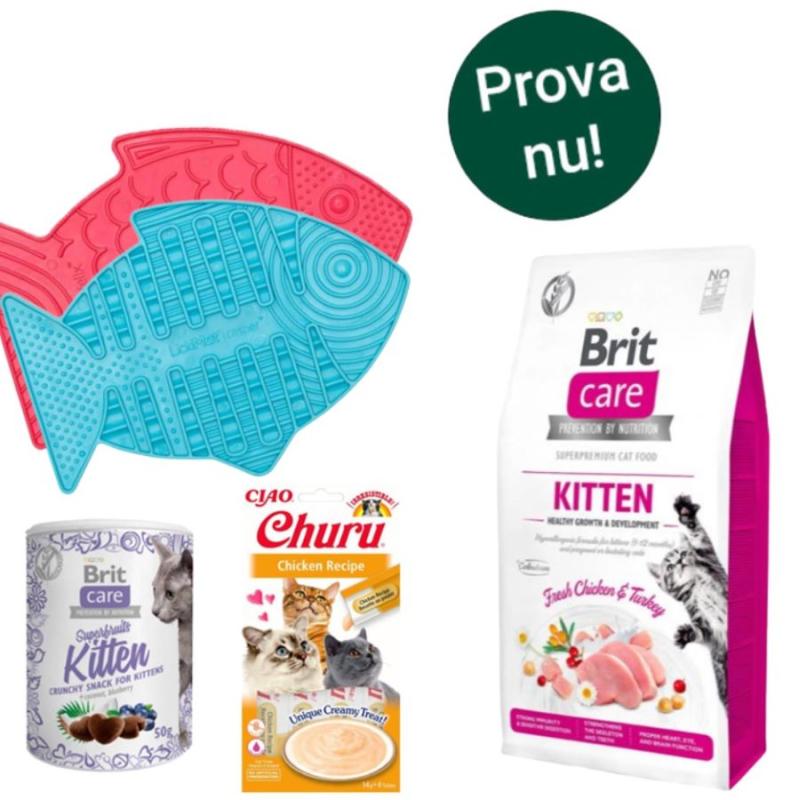 Brit kattungepaket - Startkit