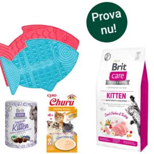 Brit kattungepaket - Startkit
