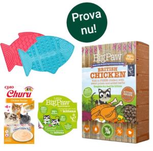Little Big Paw kattungepaket - Startkit