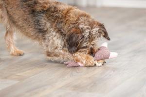 Kanin, tyg/plysch, 24 cm