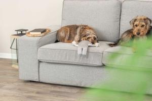 Tvättbjörn, tyg/plysch, 33 cm