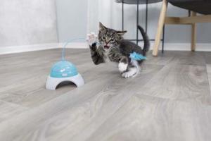 Kattleksak Catch me inkl. fjärrkontroll