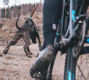 Non-Stop Protector Bootie 4-pack Orange/svart