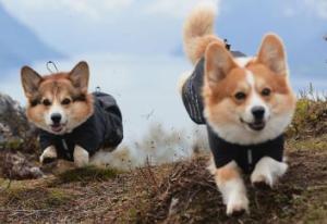 Non-Stop Fjord Raincoat Lila