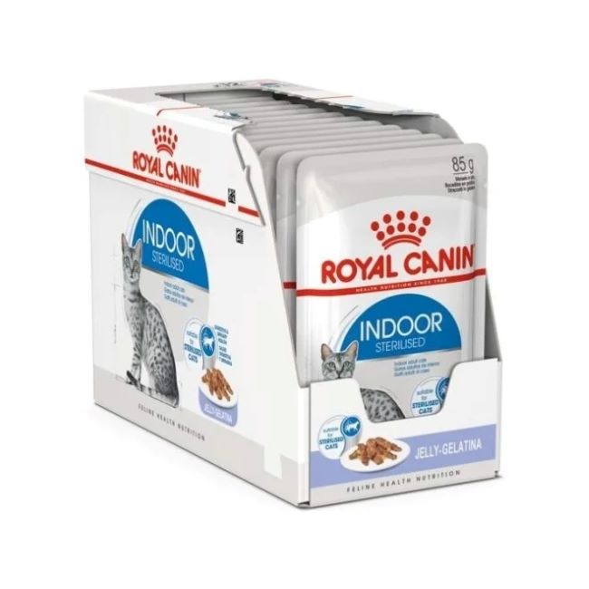 RC Cat Wet Indoor Jelly  12x85g