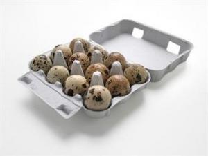 Vakteläggkartong för 12-ägg  1st