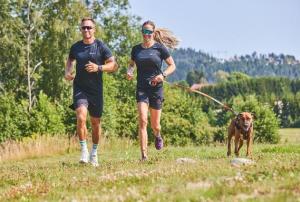 Non-Stop Move Leash Grön