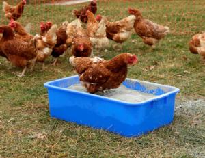 Plastlåda Universal Sandbad Desinfektion 29.5l