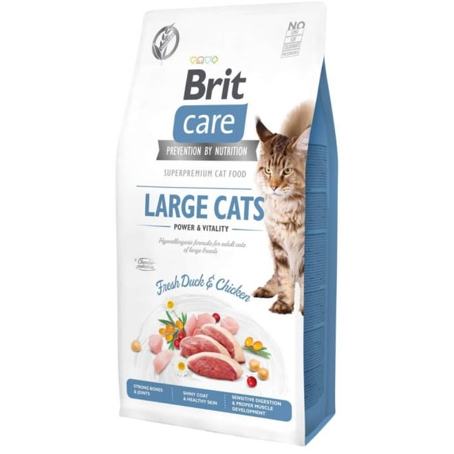 Brit Care Cat Large Cats Power&Vitality
