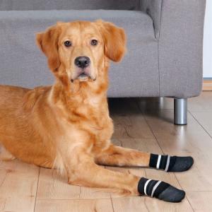 Hundsocka Non-slip 2-pack