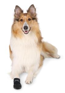 Hundskor Walker Care 2-pack