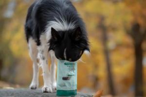 Buddy Freeze-dried Treat Raw Turkey & Tuna 100g