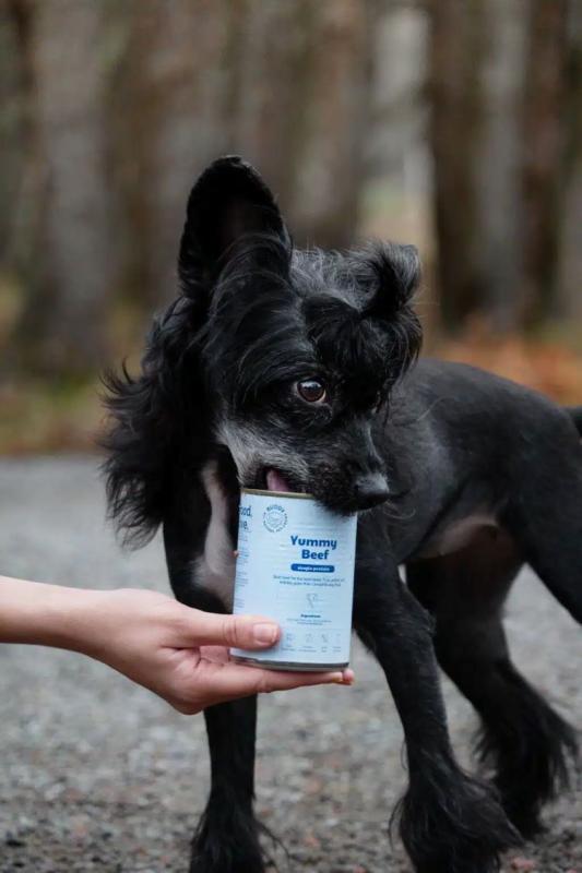 Buddy Yummy Beef 400g