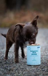 Buddy Delightful Duck 400g