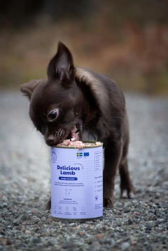 Buddy Delicious Lamb 400g