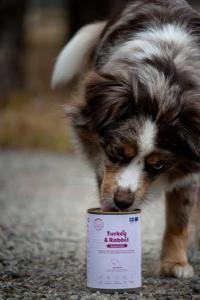 Buddy Turkey & Rabbit 400g