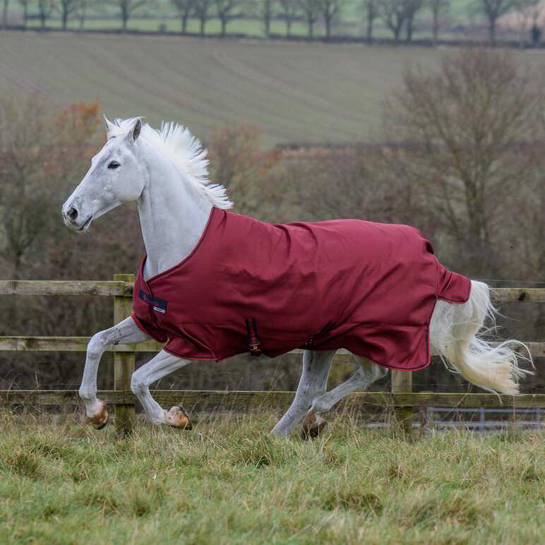 Bucas Freedom Turnout Light