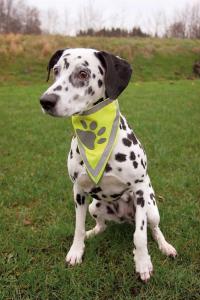 Säkerhetsskarf med reflex