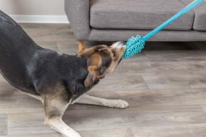 Bungee dummy, polyester 20cm/47cm