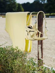 Eskadron Ryktväska Glossy Platinum Pure 23