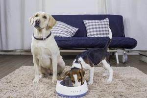 Fresh Petkit Metal smart bowl 1,7L