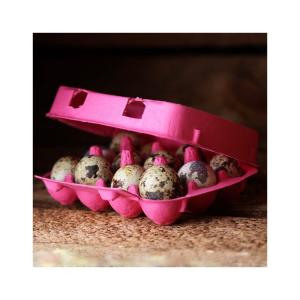 Vakteläggkartong 12 Pack, Flera Färger