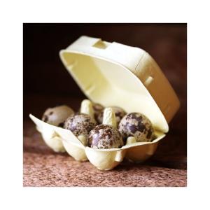 Vakteläggkartong 6 Pack, Flera Färger