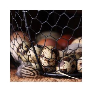 Stor Äggkorg Svart Quailzz