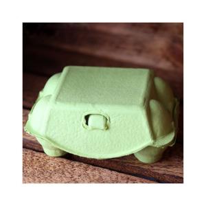 Äggkartong 6-Pack Färgade