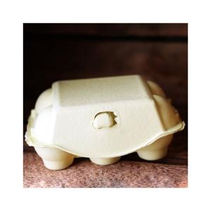 Äggkartong 6-Pack Färgade