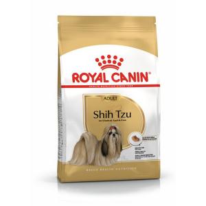 RC Shih Tzu Adult