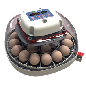 Äggkläckare Willab med inbyggd ägglampa
