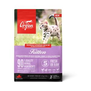 Orijen Kitten