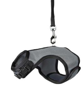 Softsele+koppel dvärgkanin