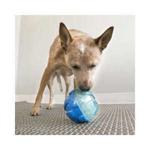 Kong Reward Ball Large 12Ø cm