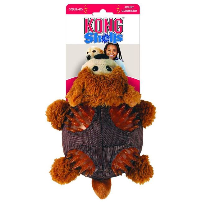 Kong Shells Björn