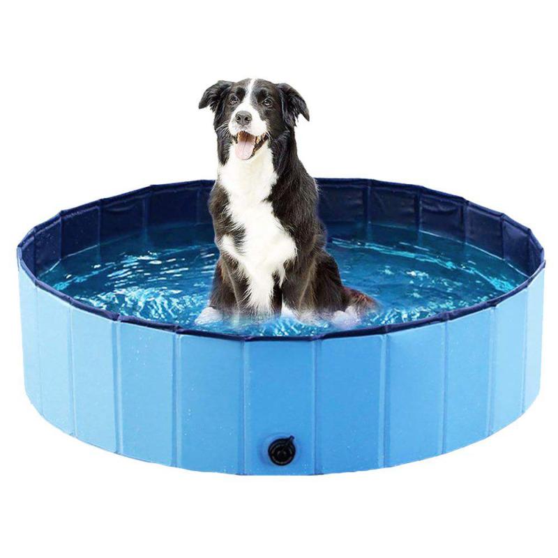 Ozami Dog Pool