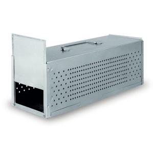 Transportbur för Duvor 2 fack