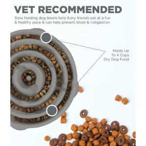 Fun Feeder Slo Bowl, Grå